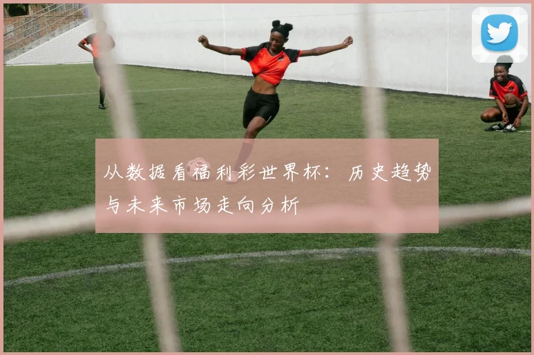 从数据看福利彩世界杯：历史趋势与未来市场走向分析
