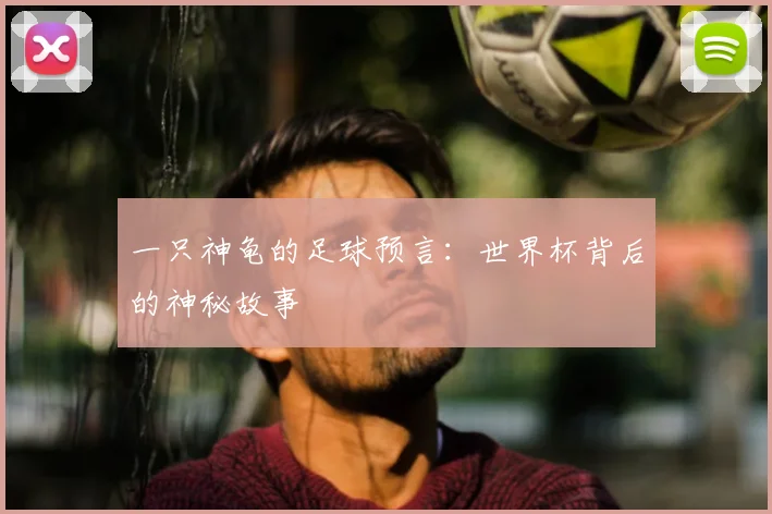 一只神龟的足球预言:世界杯背后的神秘故事