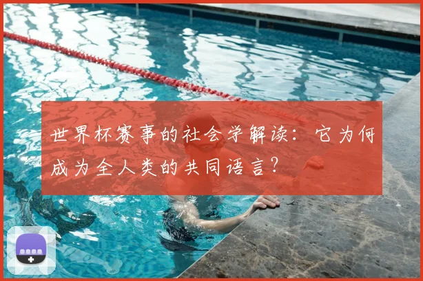 世界杯赛事的社会学解读:它为何成为全人类的共同语言?