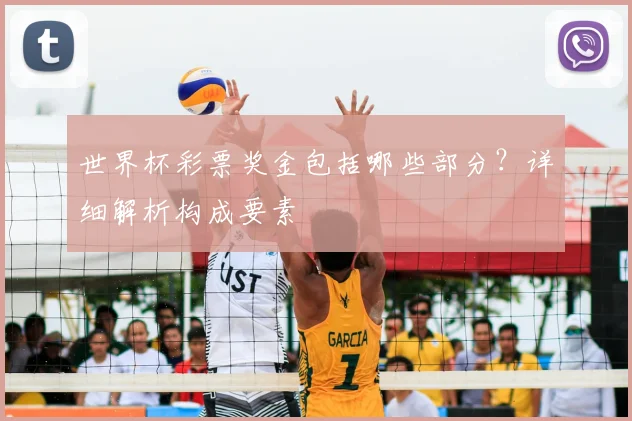 世界杯彩票奖金包括哪些部分？详细解析构成要素